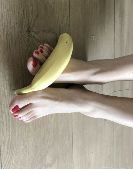 动物特工局