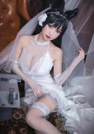 苏染染追夫记