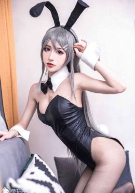 王朝崛起