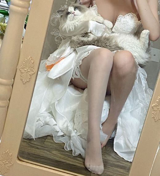 大梦归离电视剧免费观看全集高清