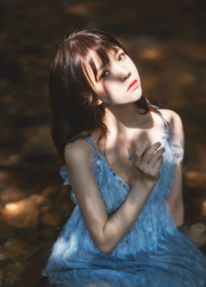 最新好看的电视剧